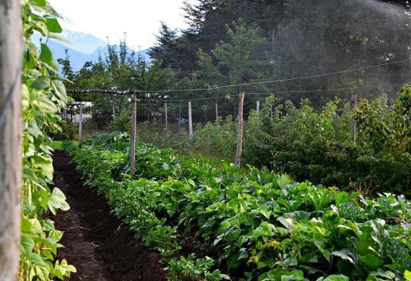 Hotel Salto del Carileufu | Pucon | Araucanía | Chile 17