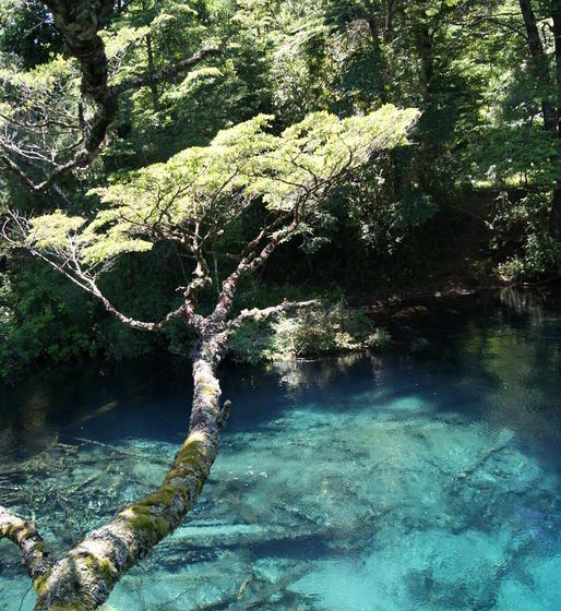 Hotel Salto del Carileufu | Pucon | Araucanía | Chile 19