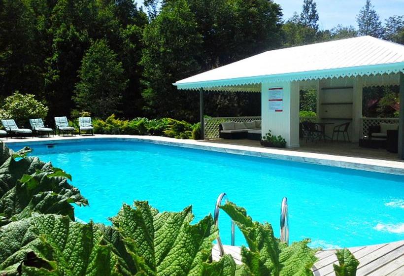 Hotel Salto del Carileufu | Pucon | Araucanía | Chile 2