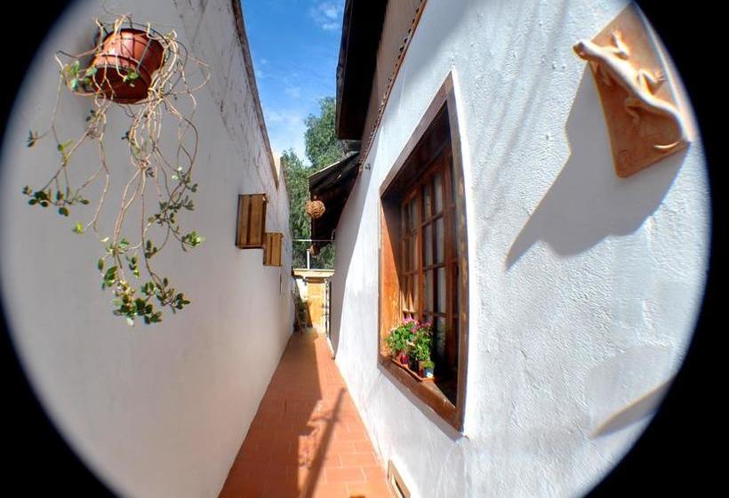 Boutique Hotel Molzano | Copiapó | Atacama | Chile 18