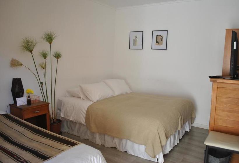 Boutique Hotel Molzano | Copiapó | Atacama | Chile 4