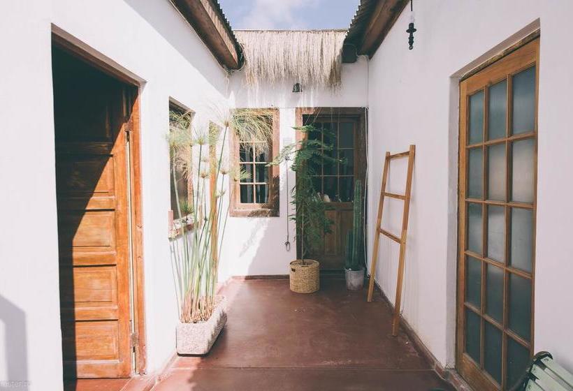 Boutique Hotel Molzano | Copiapó | Atacama | Chile 7