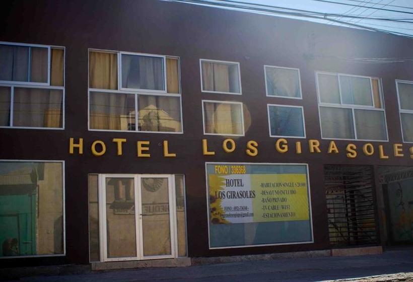 Hotel Girasoles | Copiapó | Atacama | Chile 3