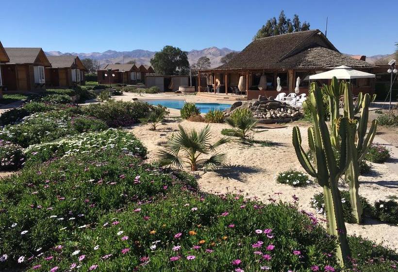 Hotel El Bramador | Copiapó | Atacama | Chile 17