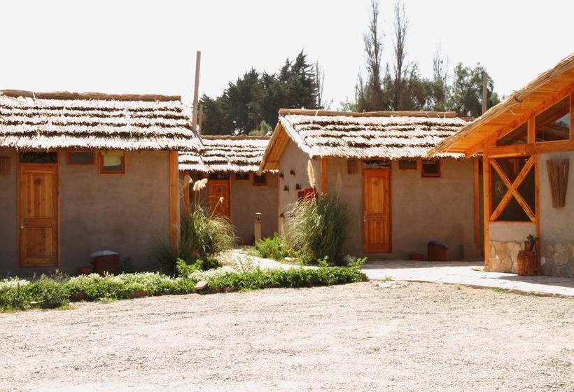 Hotel Arenas de Atacama | Copiapó | Atacama | Chile 7