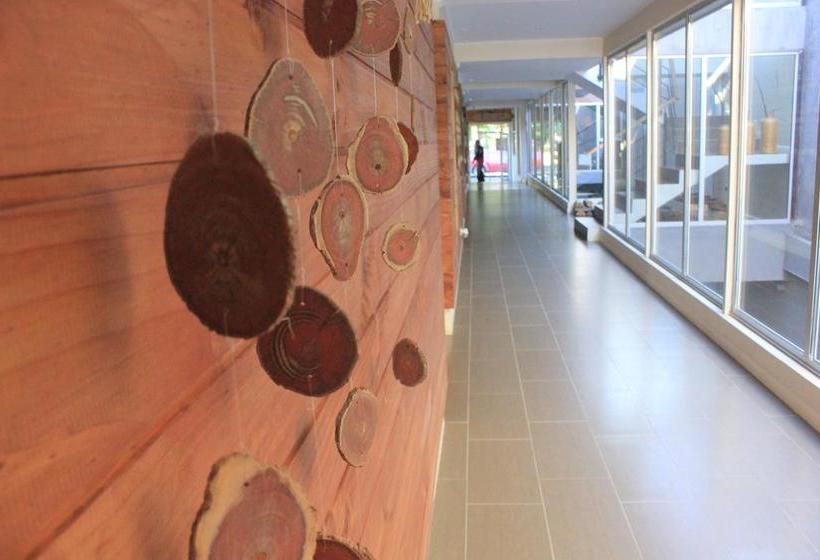 Hotel Plaza Pinto | Los Angeles | Bio-Bio | Chile 4