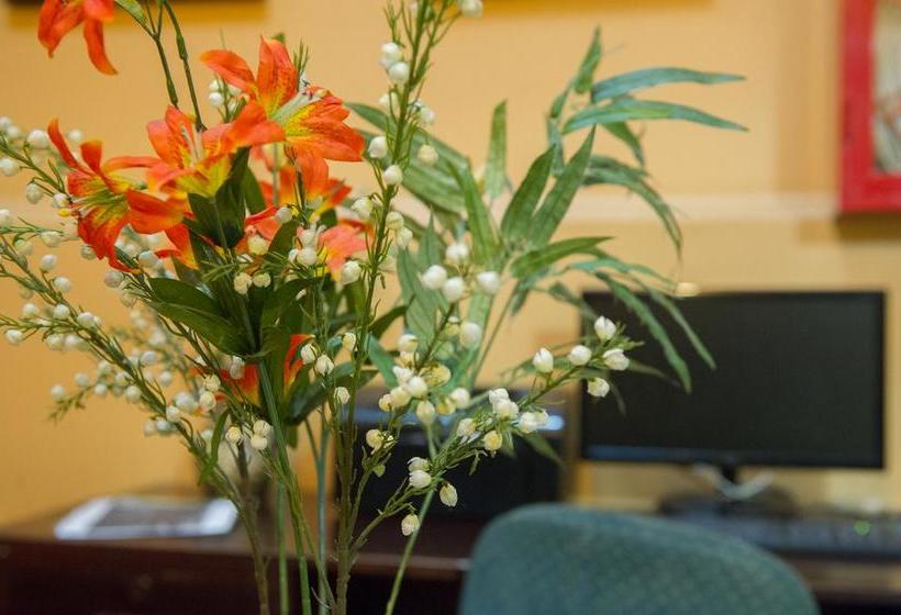 Hotel Dikran | Los Angeles | Bio-Bio | Chile 19