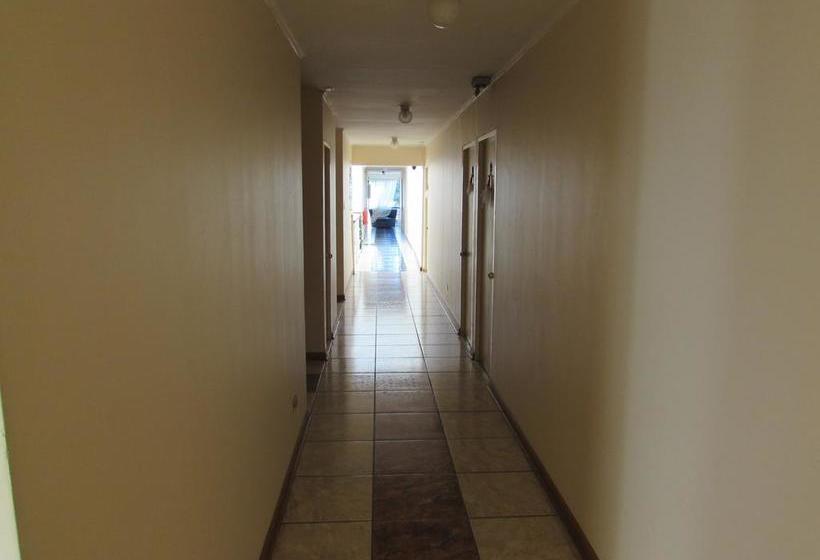 Hotel Alejandra | Rancagua | O'Higgins | Chile 10