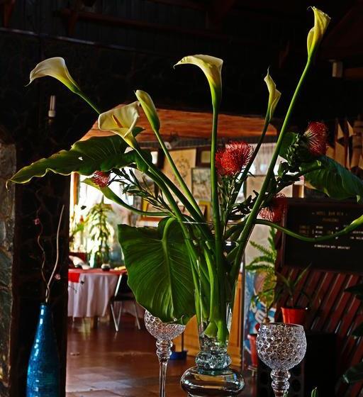 Hotel Rex | Pichilemu | O'Higgins | Chile 17