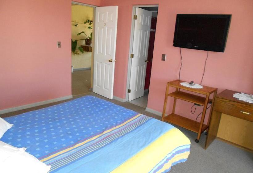 Hotel Rocas del Pacifico | Pichilemu | O'Higgins | Chile 18