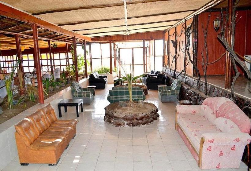 Hotel Saint Gregory | Arica | Tarapaca | Chile 14