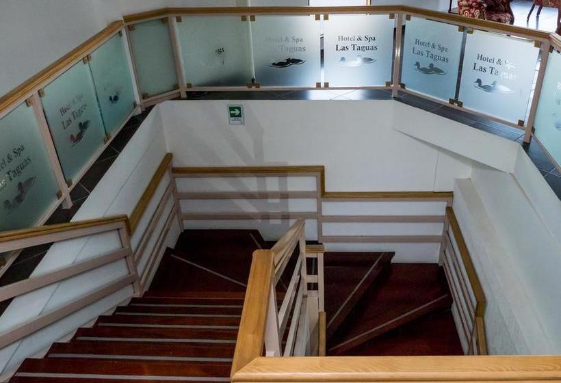 Las Taguas Hotel & Spa | Arica | Tarapaca | Chile 10