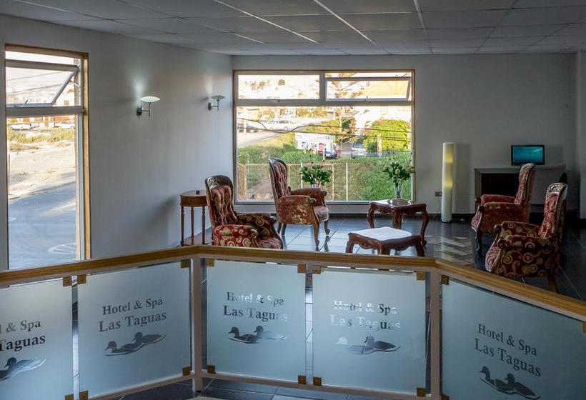 Las Taguas Hotel & Spa | Arica | Tarapaca | Chile 11