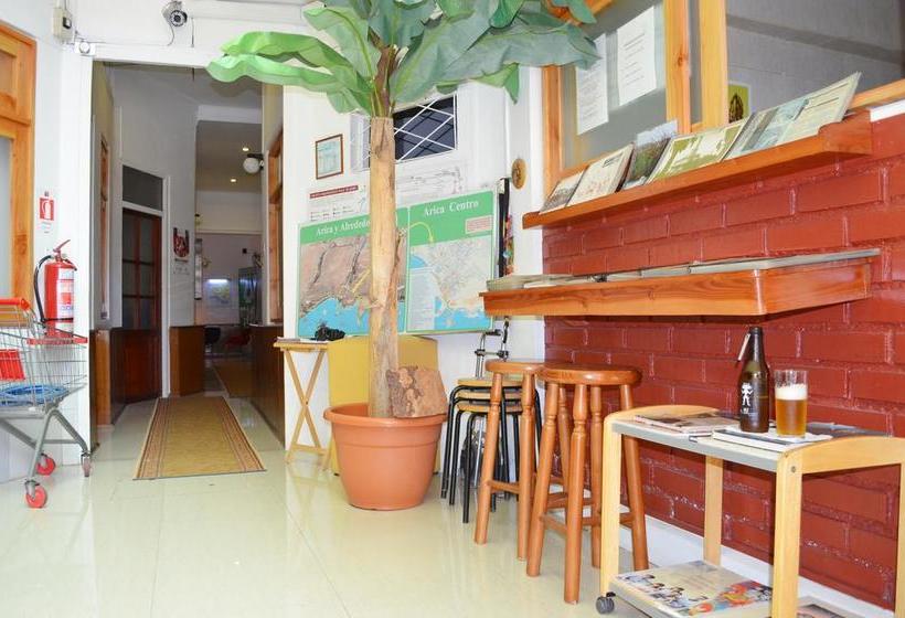 Hostal Jardin del Sol | Arica | Tarapaca | Chile 19