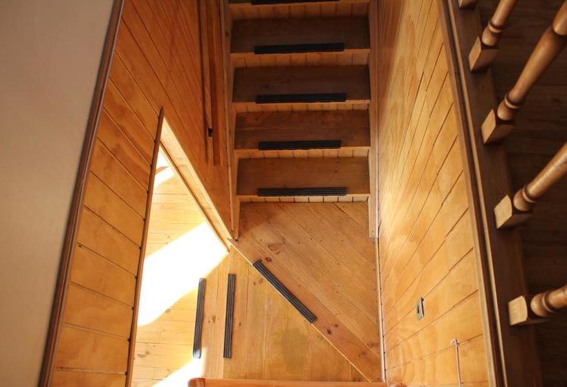 Bed and Breakfast Bed&Breakfast Casa Lucy | Puerto Natales | Magallanes y Antartica | Chile 19