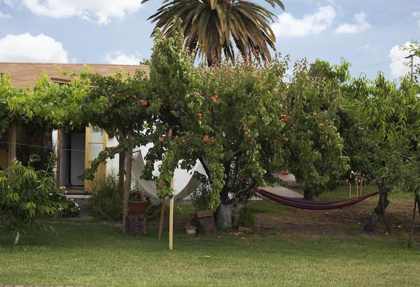 Bed and Breakfast Bed&Breakfast Casa Pando | Santa Cruz | O'Higgins | Chile 1