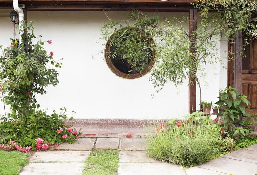 Bed and Breakfast Bed&Breakfast Casa Pando | Santa Cruz | O'Higgins | Chile 10