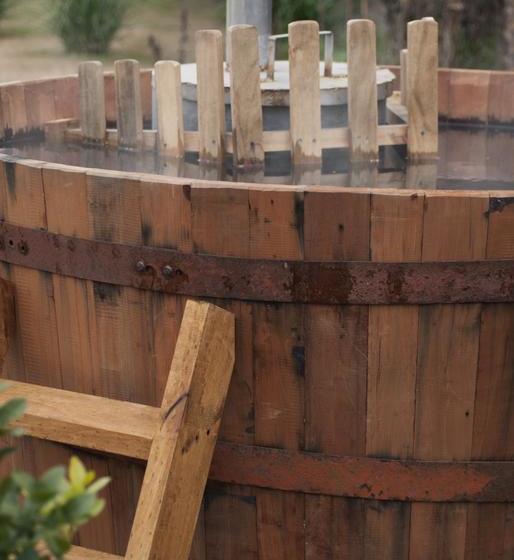 Bed and Breakfast Bed&Breakfast Casa Pando | Santa Cruz | O'Higgins | Chile 15