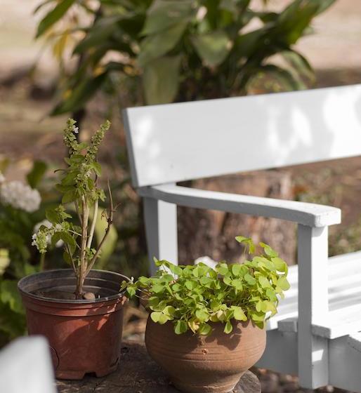 Bed and Breakfast Bed&Breakfast Casa Pando | Santa Cruz | O'Higgins | Chile 18