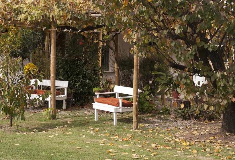 Bed and Breakfast Bed&Breakfast Casa Pando | Santa Cruz | O'Higgins | Chile 2