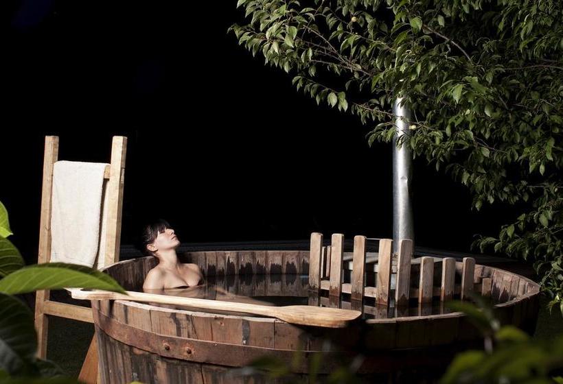 Bed and Breakfast Bed&Breakfast Casa Pando | Santa Cruz | O'Higgins | Chile 3