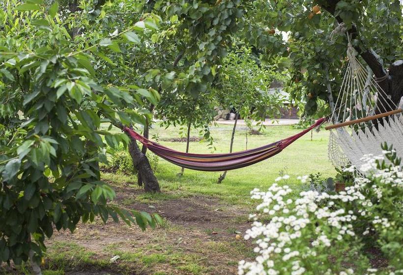 Bed and Breakfast Bed&Breakfast Casa Pando | Santa Cruz | O'Higgins | Chile 4