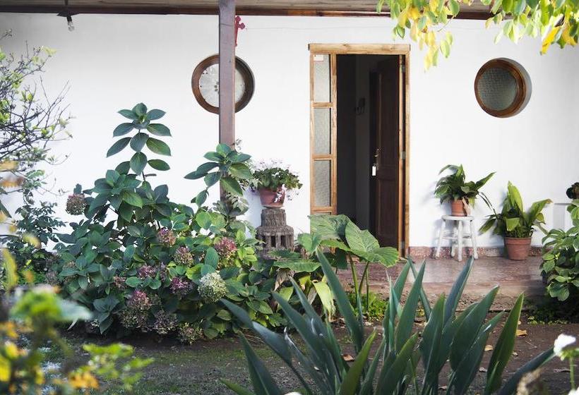 Bed and Breakfast Bed&Breakfast Casa Pando | Santa Cruz | O'Higgins | Chile 6