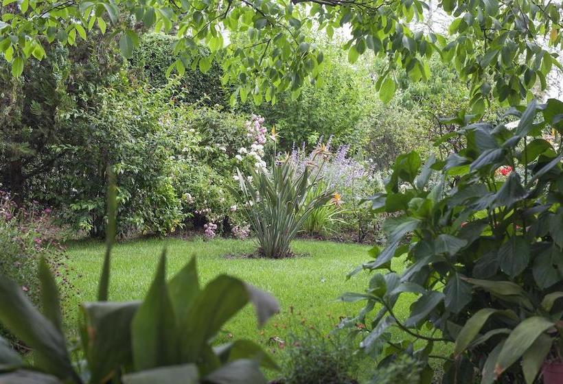 Bed and Breakfast Bed&Breakfast Casa Pando | Santa Cruz | O'Higgins | Chile 7