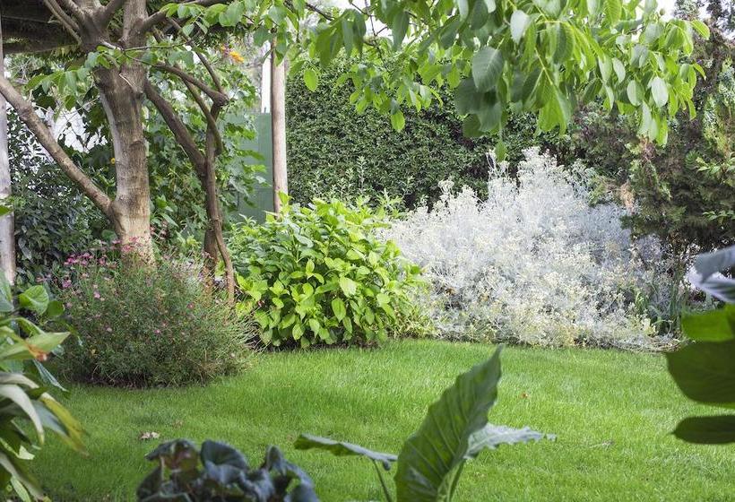 Bed and Breakfast Bed&Breakfast Casa Pando | Santa Cruz | O'Higgins | Chile 8