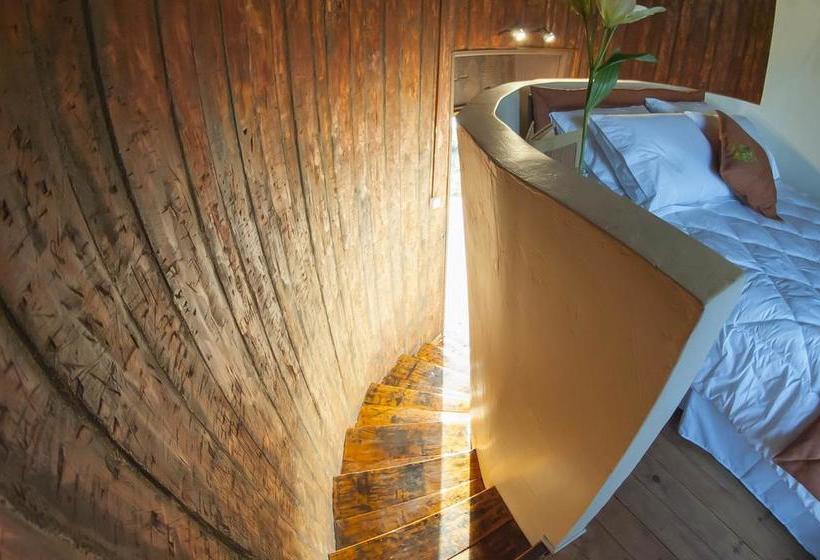 Cava Colchagua Hotel Boutique | Santa Cruz | O'Higgins | Chile 10