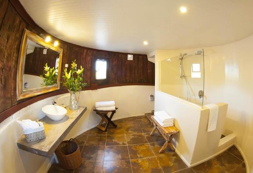 Cava Colchagua Hotel Boutique | Santa Cruz | O'Higgins | Chile 11