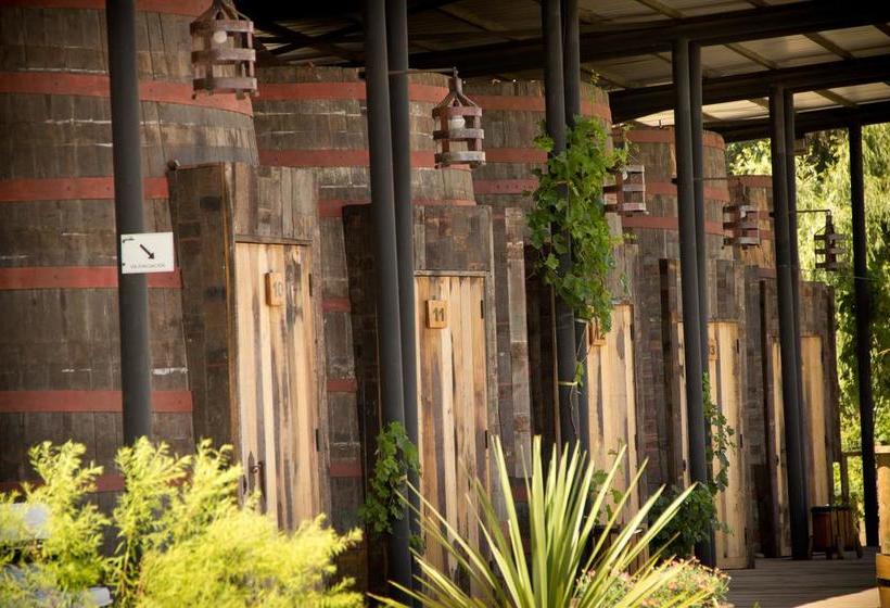 Cava Colchagua Hotel Boutique | Santa Cruz | O'Higgins | Chile 13