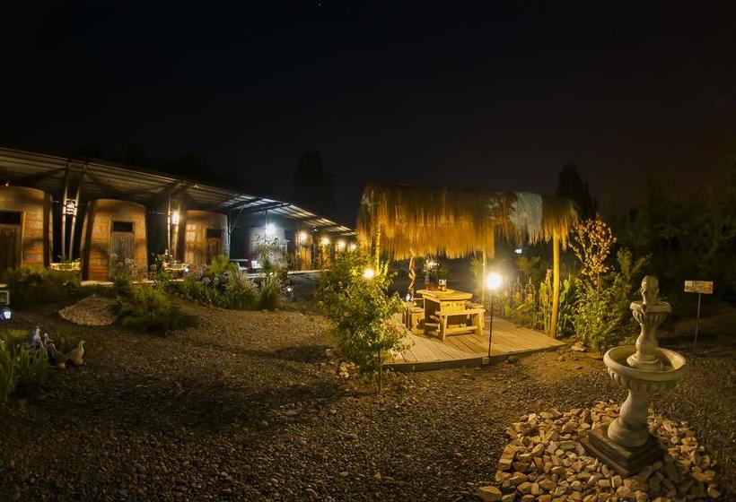 Cava Colchagua Hotel Boutique | Santa Cruz | O'Higgins | Chile 14