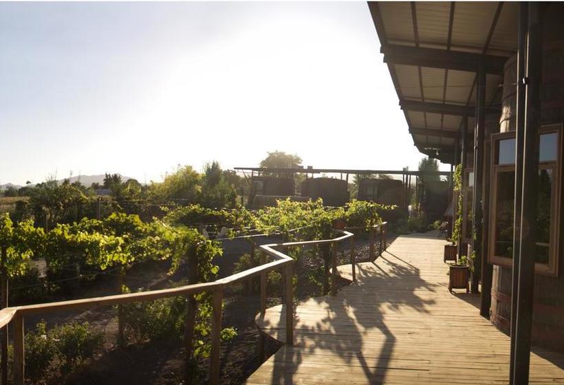 Cava Colchagua Hotel Boutique | Santa Cruz | O'Higgins | Chile 15