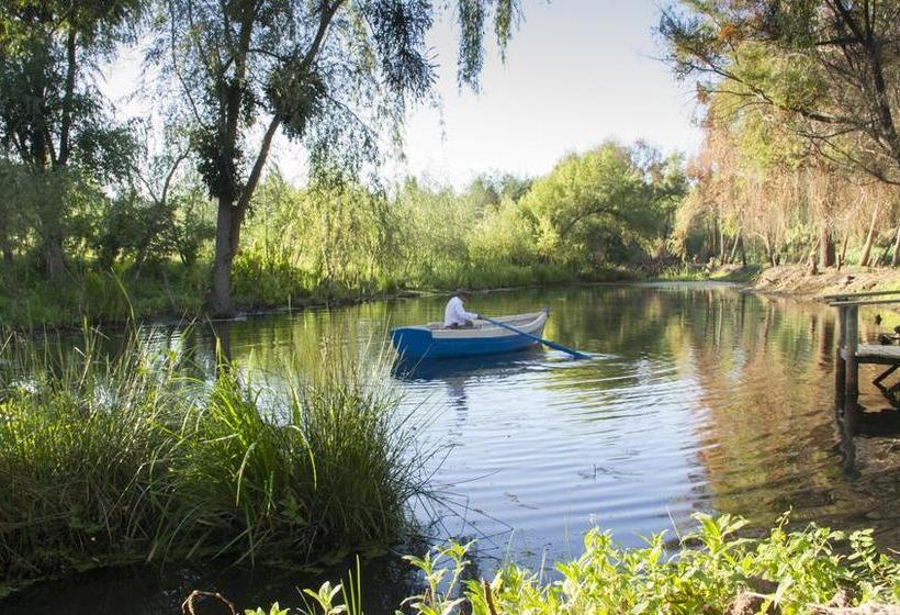 Cava Colchagua Hotel Boutique | Santa Cruz | O'Higgins | Chile 16