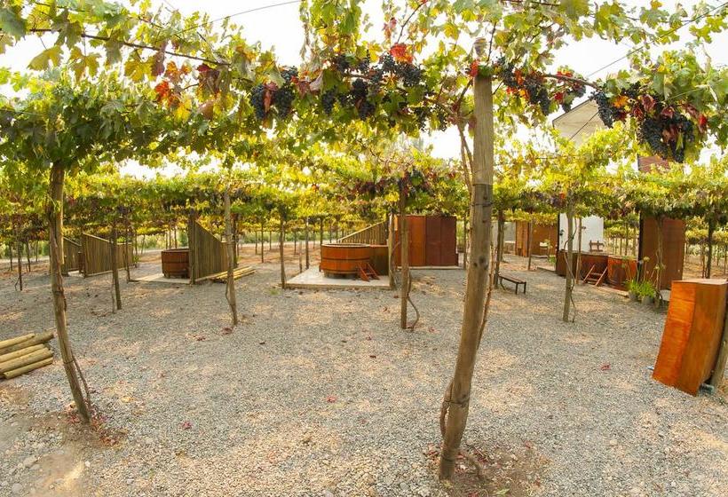 Cava Colchagua Hotel Boutique | Santa Cruz | O'Higgins | Chile 18