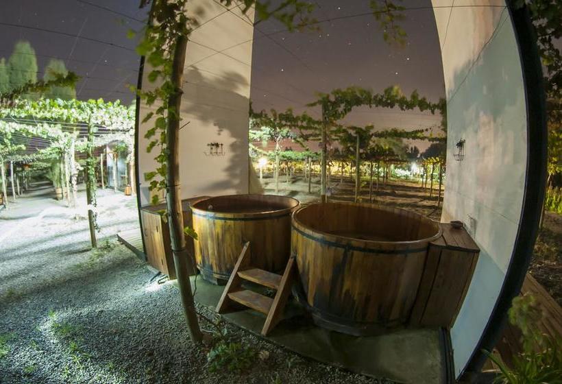 Cava Colchagua Hotel Boutique | Santa Cruz | O'Higgins | Chile 19