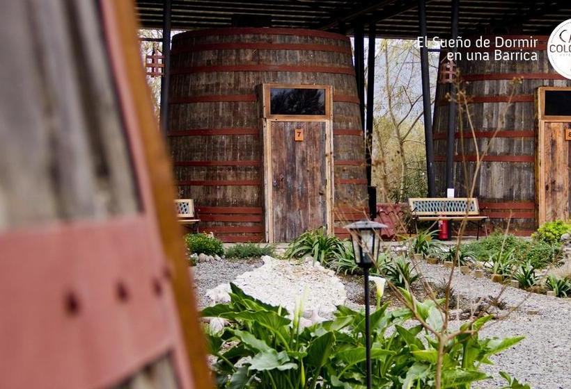 Cava Colchagua Hotel Boutique | Santa Cruz | O'Higgins | Chile 2