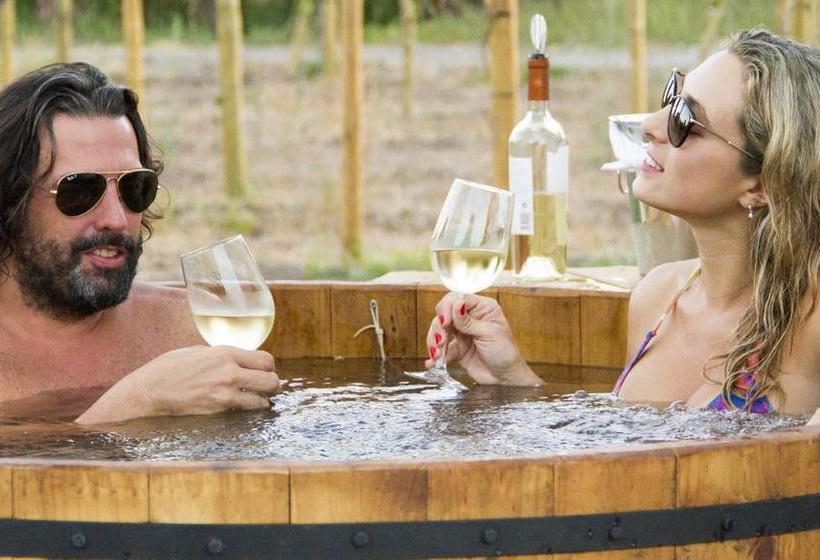 Cava Colchagua Hotel Boutique | Santa Cruz | O'Higgins | Chile 3