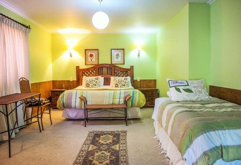 Hostal Cepa Noble | Santa Cruz | O'Higgins | Chile 1