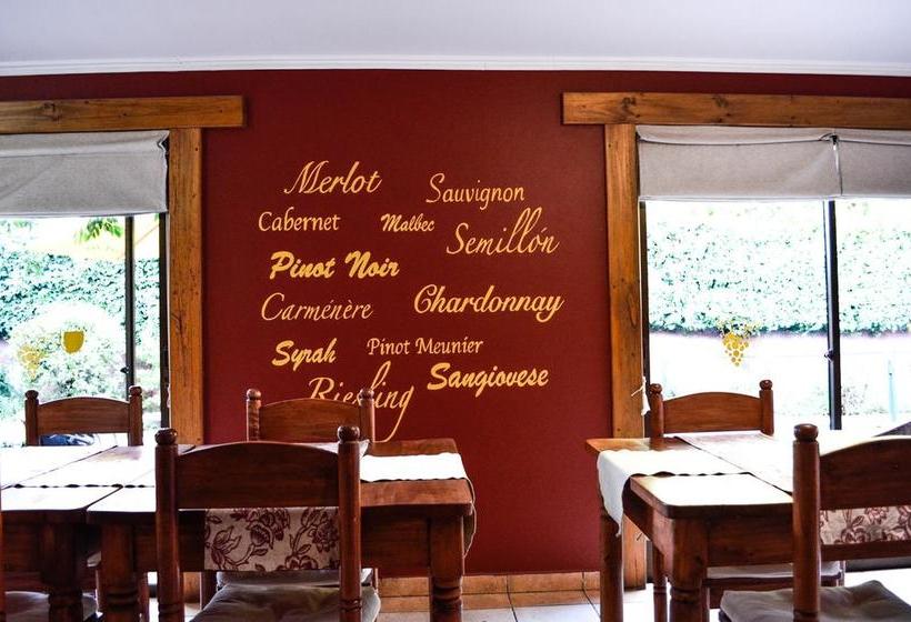 Hostal Cepa Noble | Santa Cruz | O'Higgins | Chile 10