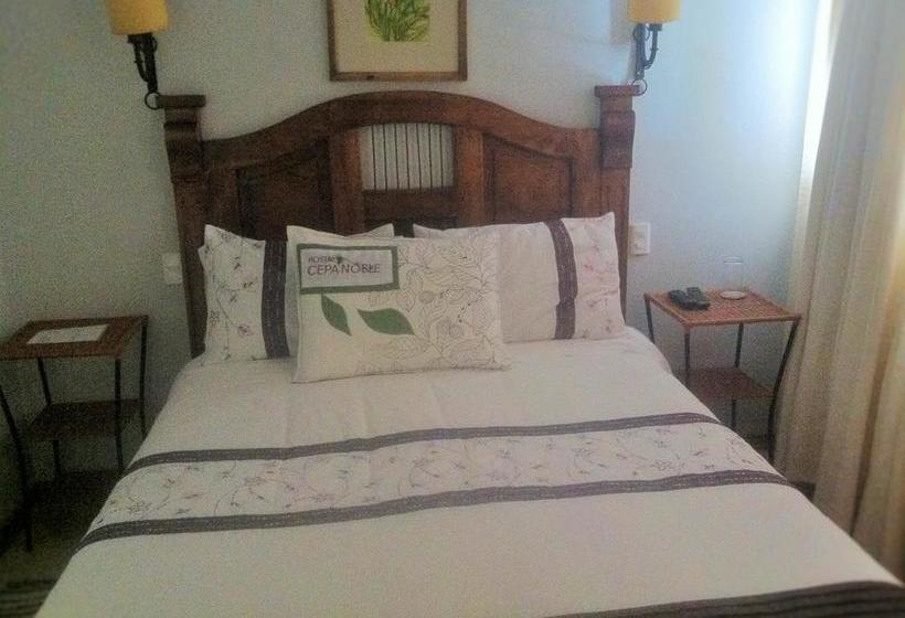 Hostal Cepa Noble | Santa Cruz | O'Higgins | Chile 11