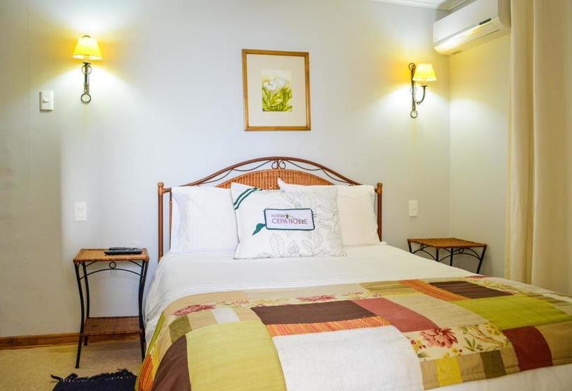 Hostal Cepa Noble | Santa Cruz | O'Higgins | Chile 12