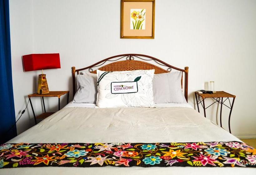 Hostal Cepa Noble | Santa Cruz | O'Higgins | Chile 14