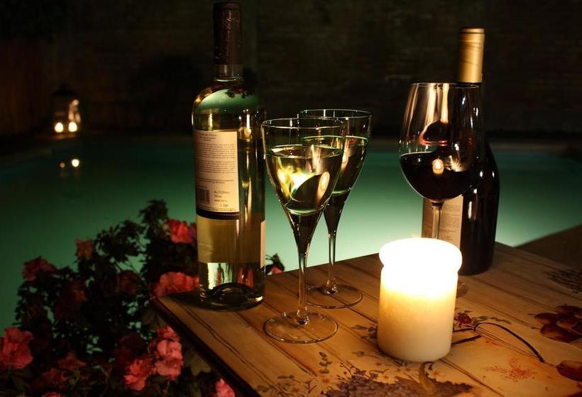 Hostal Cepa Noble | Santa Cruz | O'Higgins | Chile 16