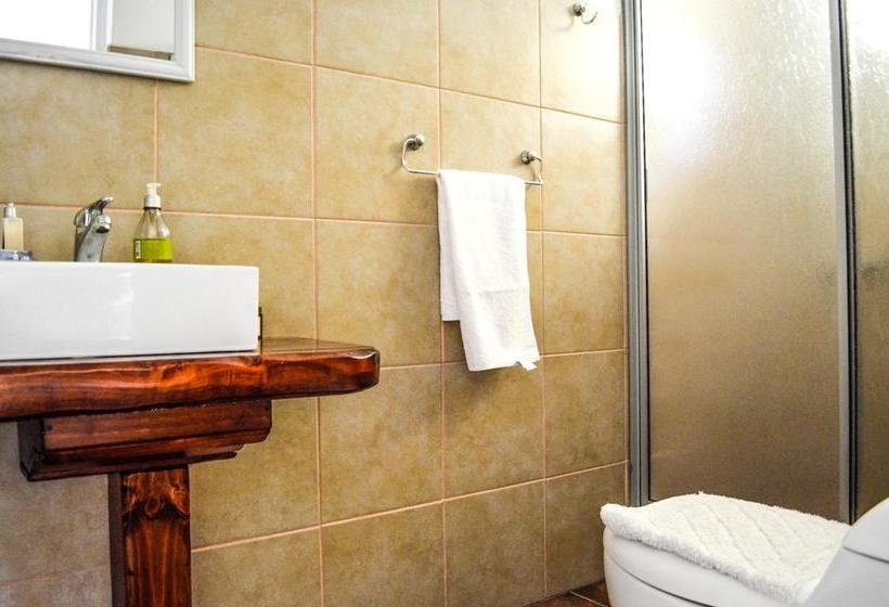 Hostal Cepa Noble | Santa Cruz | O'Higgins | Chile 18