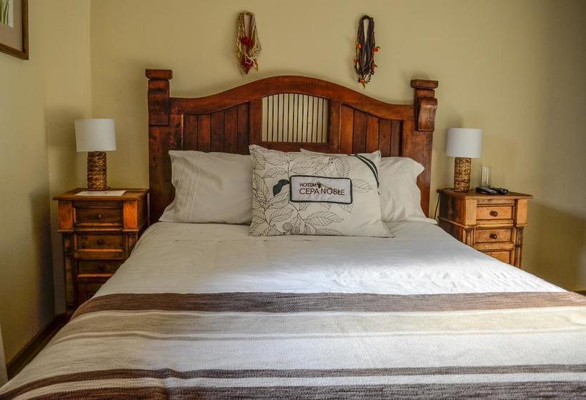 Hostal Cepa Noble | Santa Cruz | O'Higgins | Chile 19