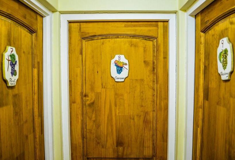 Hostal Cepa Noble | Santa Cruz | O'Higgins | Chile 20