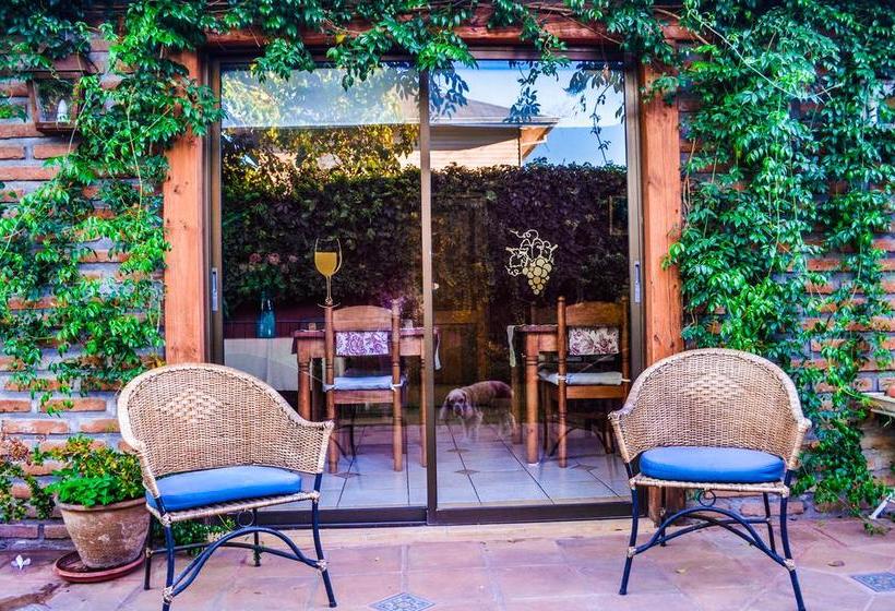 Hostal Cepa Noble | Santa Cruz | O'Higgins | Chile 3