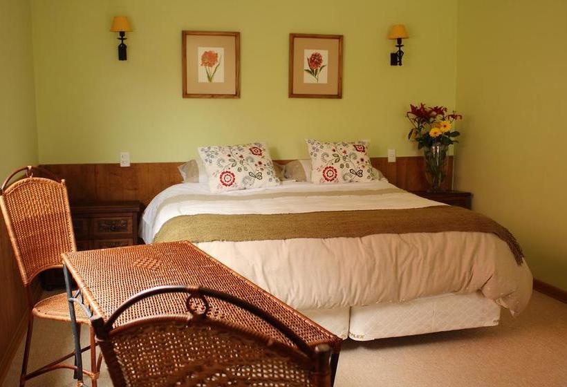 Hostal Cepa Noble | Santa Cruz | O'Higgins | Chile 6